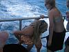 Peeing in the open sea-294739767mwhpwv_fst_144.jpg