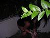 Busted in the night!-296055442ifndpl_pht_694.jpg