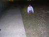 A couple of girls peeing-301741672qwuyxy_pht_574.jpg