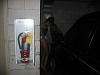 Hiding in the dark-301963241oyinmz_pht_522.jpg
