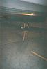 Peeing on the highway-302416371fyagfx_pht_209.jpg