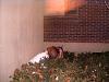 Hiding the truth-303560770ubovbx_pht_273.jpg
