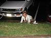 Night peeing on the lawn-317503142taeabv_pht_195.jpg