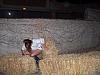 Peeing in the hay-319885804bksotp_pht_213.jpg