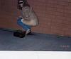 Click image for larger version

Name:	caught_peeing_36t_158.jpg
Views:	211
Size:	40.3 KB
ID:	1765