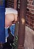 Click image for larger version

Name:	caught_peeing_42t_211.jpg
Views:	211
Size:	77.5 KB
ID:	1778