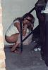 Click image for larger version

Name:	caught_peeing_55t_425.jpg
Views:	218
Size:	64.5 KB
ID:	1808