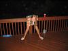 Peeing for bustedposter-cdxspecials_0544tt_973.jpg