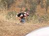 Simply busted-peeee4t_172.jpg