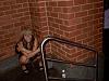 Teenage girls peeing-pee_pics_003t_205.jpg