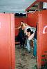 Busted!!!-6bd_36t_575.jpg