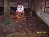peeing in autumn-221193757wiquvo_pht_197.jpg