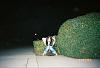 from the distance-228332144rrepev_pht_983.jpg