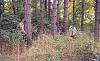 forest fun-232788053wpwqiu_pht_302.jpg
