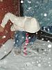 peeing while snowing again-258535294iwmaho_pht_189.jpg