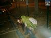 autumn peeing-265474798fmwdpi_pht_138.jpg