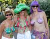 Painted tits-00imkiot_589.jpg