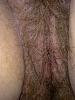 Wife's hairy pussy-hairy-pussy-5.jpg
